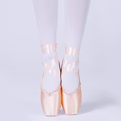 Women's Ballet Shoes Ballet Slippers Pointe Shoes Stage Practice Professional Flat Ribbons Flat Heel Pink Lightinthebox
