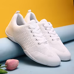 Women's Dance Sneakers Cheer Shoes Training Practice Cheerleading Mesh Sneaker Flat Heel Round Toe Lace-up Adults' Children's White Lightinthebox
