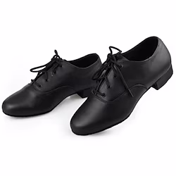 Men's Latin Shoes Ballroom Dance Shoes Practice Trainning Dance Shoes Line Dance Indoor Professional Ballroom Dance Flat Lace-up Flat Heel Lace-up Black Lightinthebox