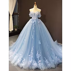 Ball Gown Prom Dresses Floral Dress Quinceanera Court Train Short Sleeve Sweetheart Lace with Pleats Appliques 2023 Lightinthebox
