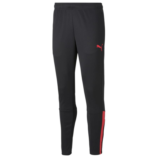 Teamliga Training Pants - PUMA, koko X-Small