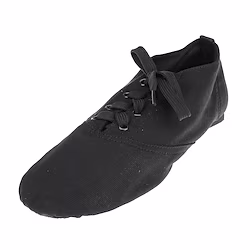Men's Jazz Shoes Practice Trainning Dance Shoes Stage Performance Flat Sneaker Flat Heel Lace-up White Black Red Lightinthebox