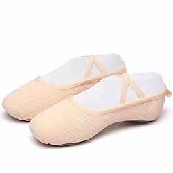 Women's Ballet Shoes Training Practice Professional Softer Simple Style Soft Flat Heel Square Toe Loafer Adults' Pink miniinthebox
