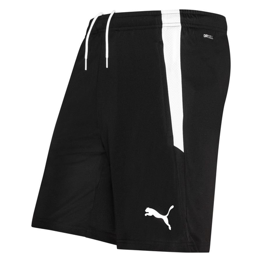 Teamliga Training Shorts - PUMA, koko X-Small