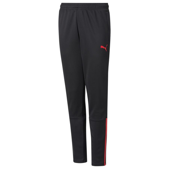 Teamliga Training Pants Jr - PUMA, koko M/152 cm