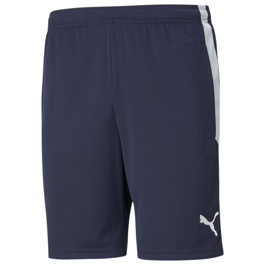 Teamliga Training Shorts - PUMA, koko Small