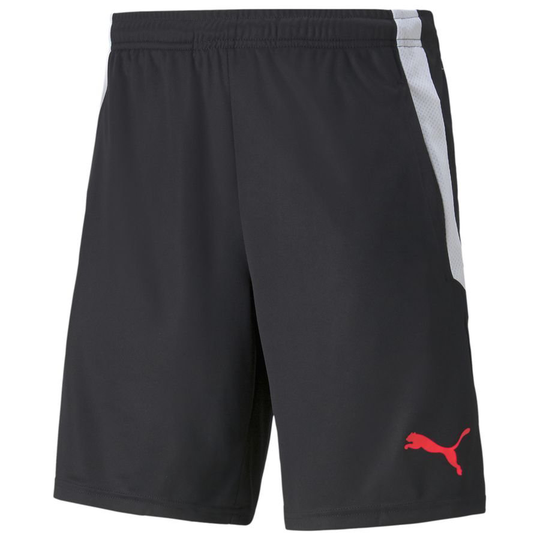 teamLIGA Training Shorts 2 (open pockets) - PUMA, koko X-Small