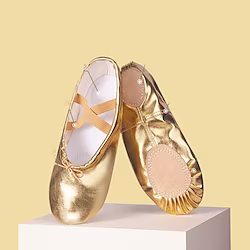 Women's Ballet Shoes Belly Dance Practice Trainning Dance Shoes Stage Indoor Professional Heel Split Sole Flat Heel Elastic Band Silver - Drawstring Gold - Drawstring Silver / Girls' Lightinthebox