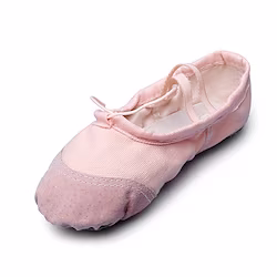 Women's Ballet Shoes Indoor Flat Flat Heel Gore Elastic Band Slip-on White Black Rosy Pink Lightinthebox