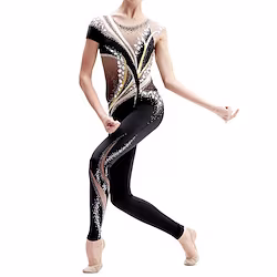 Rhythmic Gymnastics Leotards Artistic Gymnastics Leotards Women's Girls' Leotard Spandex High Elasticity Handmade Long Sleeve Competition Dance Rhythmic Gymnastics Artistic Gymnastics Black Lightinthebox