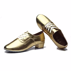 Men's Latin Shoes Ballroom Shoes Line Dance Indoor Performance Practice Heel Low Heel Lace-up White Black Silver Lightinthebox
