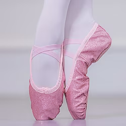 Girls' Ballet Shoes Practice Trainning Dance Shoes Training Performance Practice Professional Flat Flat Heel Round Toe Elastic Band Slip-on Children's Rosy Pink Gold Lightinthebox