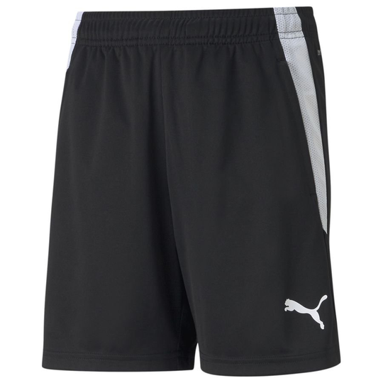 Teamliga Training Shorts Jr - PUMA, koko 116 cm