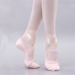 Women's Ballet Shoes Practice Trainning Dance Shoes Performance Stage Indoor Flat Flat Heel Lace-up Elastic Band Pink Champagne / Satin / Girls' Lightinthebox