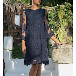 Sheath / Column Mother of the Bride Dress Elegant Jewel Neck Short / Mini Lace Tulle 3/4 Length Sleeve with Appliques 2023 Lightinthebox