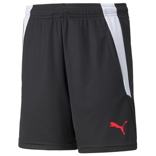 teamLIGA Training Shorts 2 Jr (open pockets) - PUMA, koko XS/128 cm