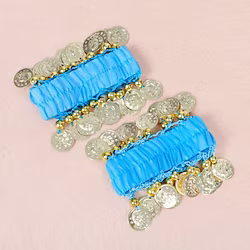 Dance Accessories Coin Tassel Women's Training Chiffon / Belly Dance / Performance Lightinthebox