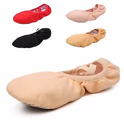 Women's Ballet Shoes Practice Trainning Dance Shoes Performance Stage Indoor Flat Flat Heel Elastic Band Black Pink Red Lightinthebox