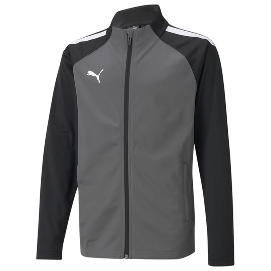 Teamliga Training Jacket Jr - PUMA, koko 116 cm