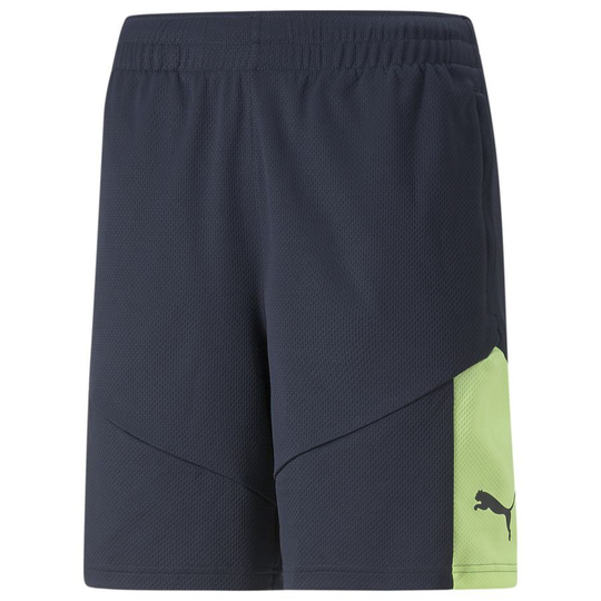 PUMA Treenishortsit IndividualFINAL - Sininen/Vihreä, koko Medium